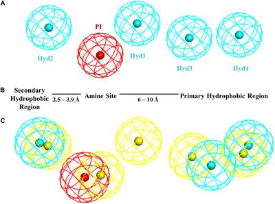 A New Pharmacophore Model for the Design of Sigma-1 Ligands Validated on a Large Experimental Dataset